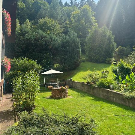 Pension Ernst Im Herzen Des Pfaelzerwaldes Mit Kueche Hotel Elmstein Kültér fotó