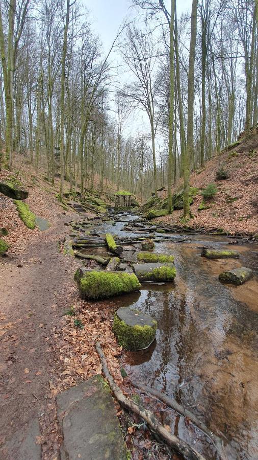 Pension Ernst Im Herzen Des Pfaelzerwaldes Mit Kueche Hotel Elmstein Kültér fotó