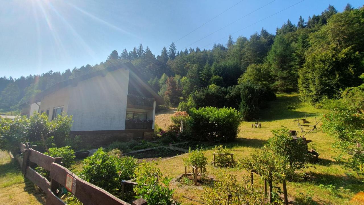 Pension Ernst Im Herzen Des Pfaelzerwaldes Mit Kueche Hotel Elmstein Kültér fotó