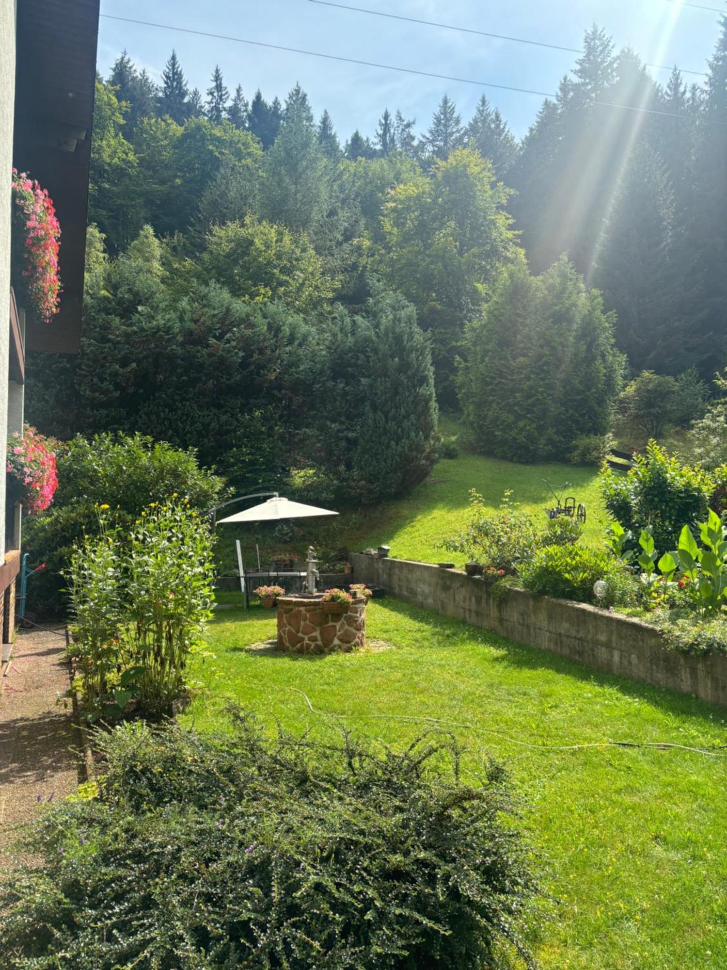 Pension Ernst Im Herzen Des Pfaelzerwaldes Mit Kueche Hotel Elmstein Kültér fotó